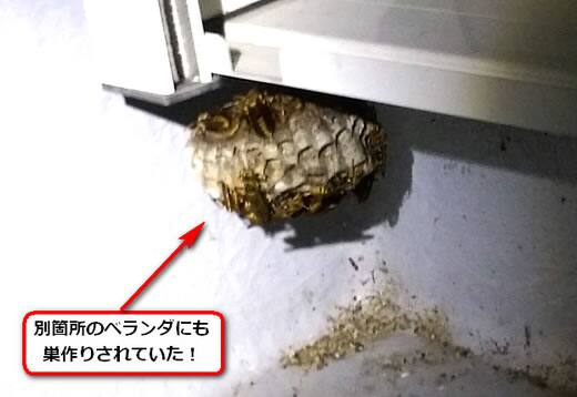 アシナガバチ駆除窓サッシ