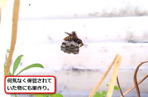 放置トタン蜂の巣