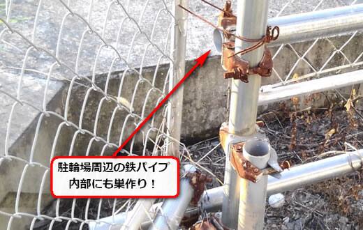 蜂の巣鉄パイプ
