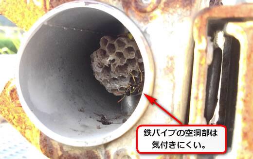 アシナガバチ巣鉄パイプ