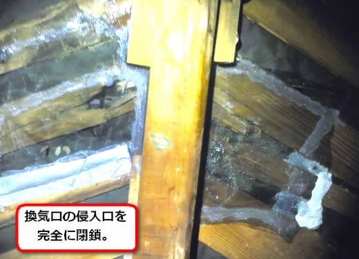 スズメバチ侵入口閉鎖