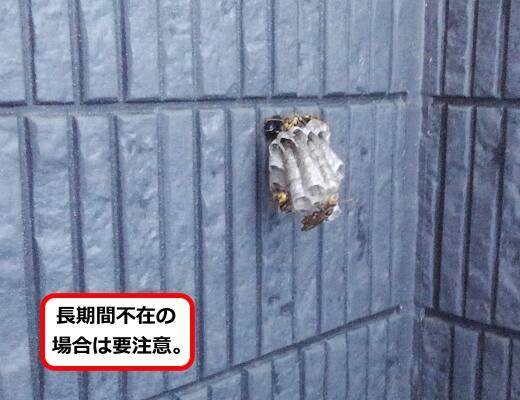 ハイツベランダ蜂の巣