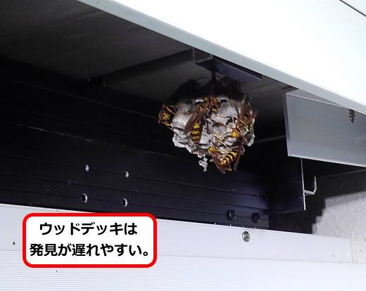 デッキ裏側蜂の巣