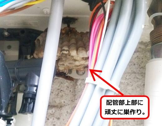 給湯器配管蜂の巣