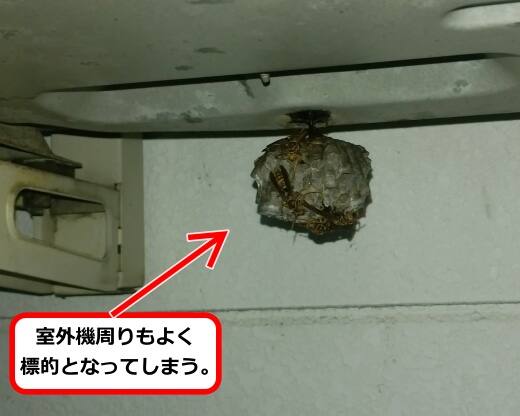 室外機底面蜂の巣