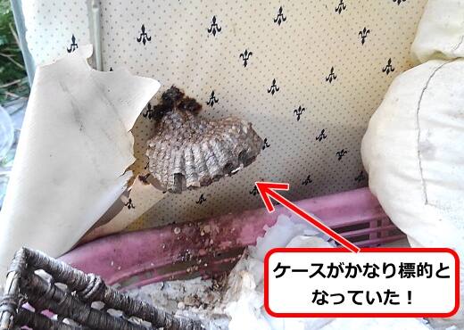 衣装ケース蜂の巣