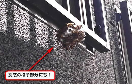 蜂の巣窓格子