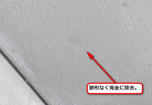 ドロバチの巣完全除去