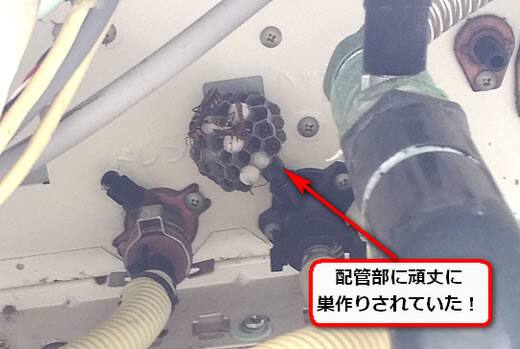 給湯器アシナガバチ巣