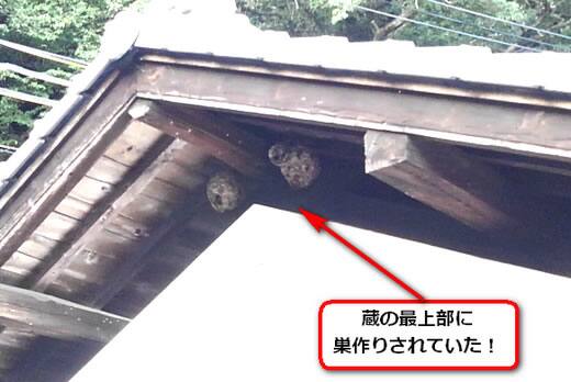 蜂の巣蔵軒