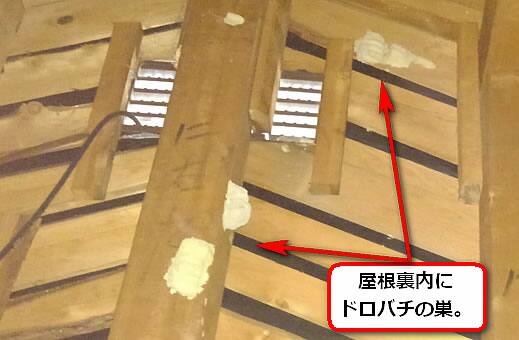 ドロバチの巣屋根裏