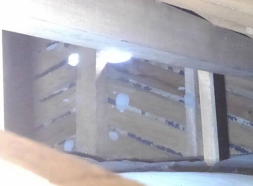 ドロバチの巣注意点屋根裏
