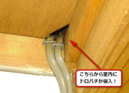 ドロバチ侵入口室内