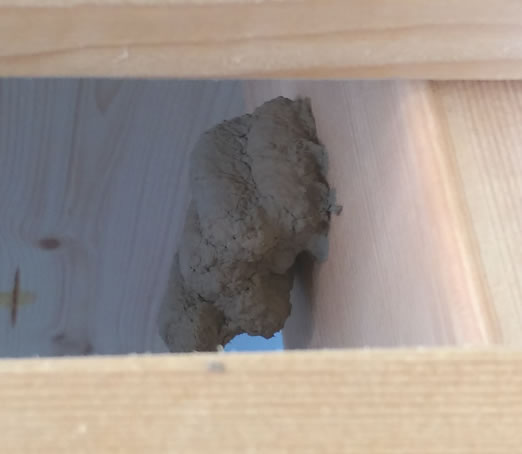 ドロバチの巣駆除木製ラック