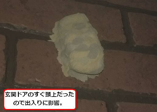 ドロバチの巣