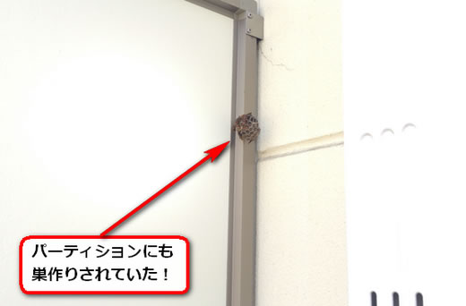 パーティション蜂の巣