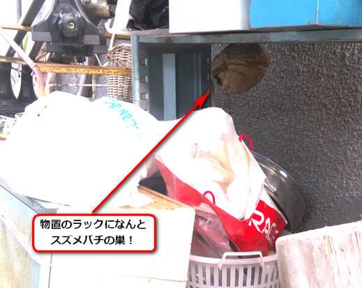 蜂の巣棚