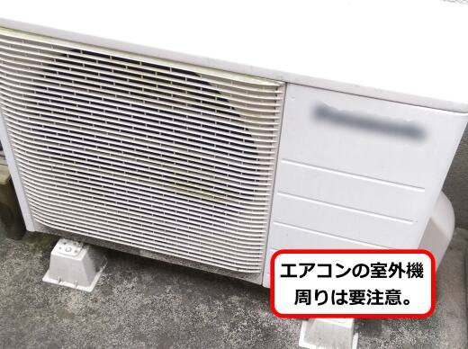 4月9日蜂の巣調査