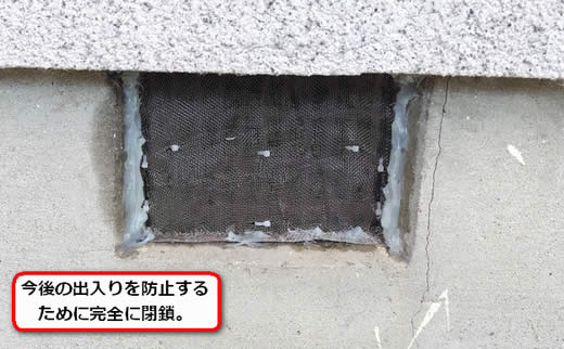 スズメバチ侵入口閉鎖