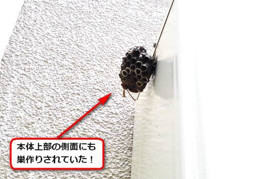 蜂の巣給湯器側面