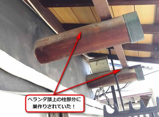 ハナバチ駆除ベランダ