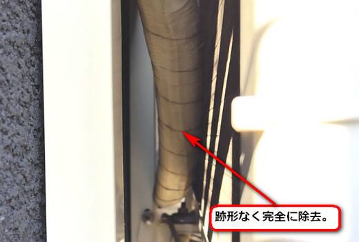 アシナガバチの巣完全除去