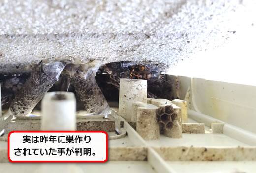 メーター内部蜂の巣