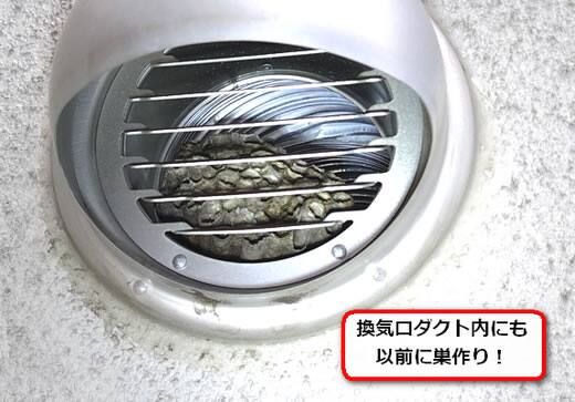 換気口ダクト蜂の巣