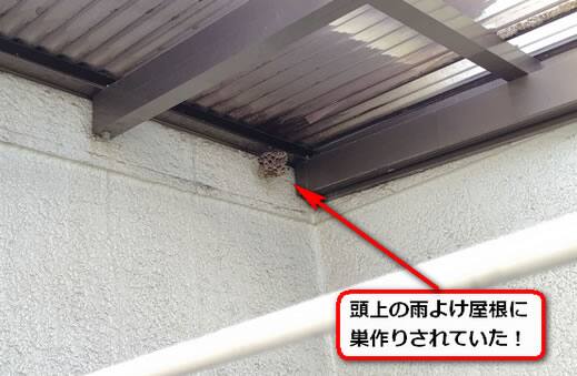 スプレー噴射蜂の巣