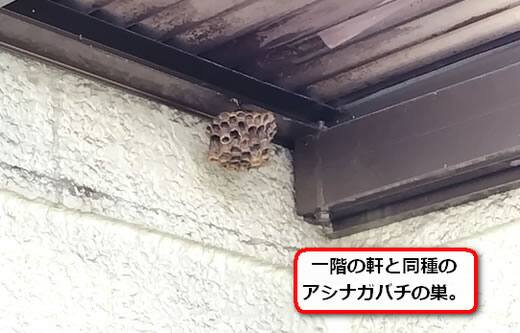 雨よけ屋根蜂の巣