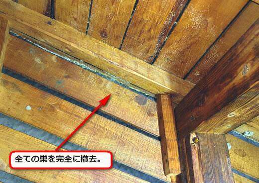 ミツバチ巣完全撤去