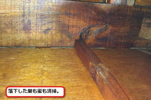 ミツバチ巣撤去清掃