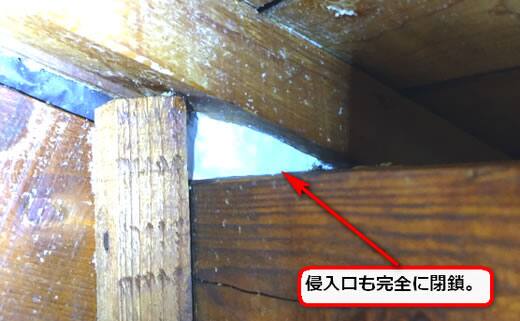ミツバチ侵入口閉鎖
