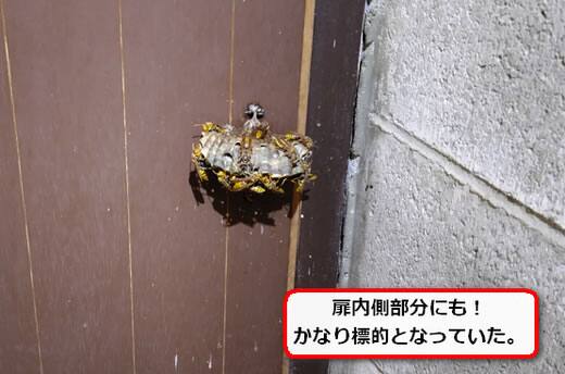 物置扉蜂の巣