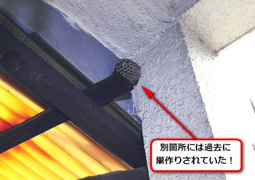 物置アシナガバチ巣