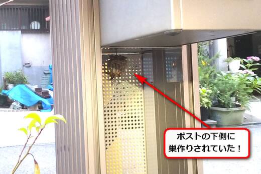 ハチの巣ポスト