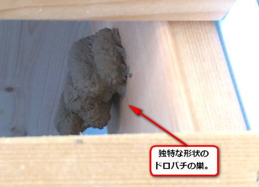 ドロバチ巣物置