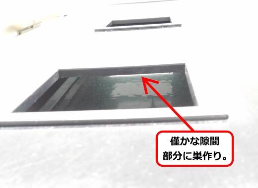 ドア隙間蜂の巣