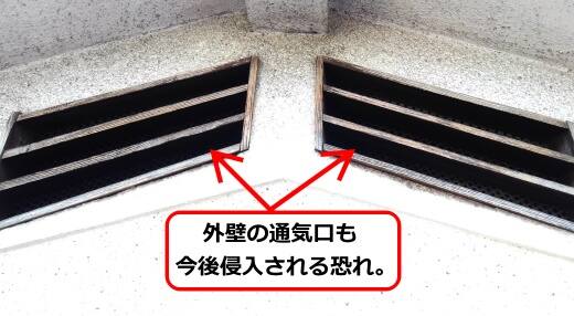 通気口ハチ侵入