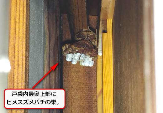 雨戸戸袋スズメバチ巣