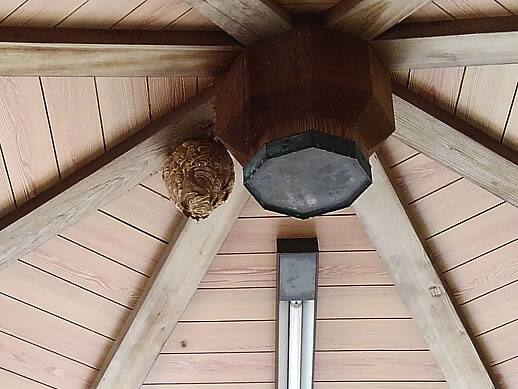 キイロスズメバチ注意点霊園