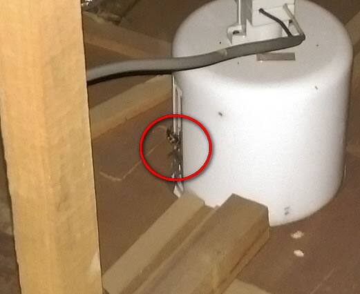 スズメバチ冬眠屋根裏