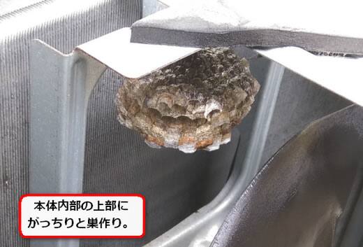 蜂の巣室外機