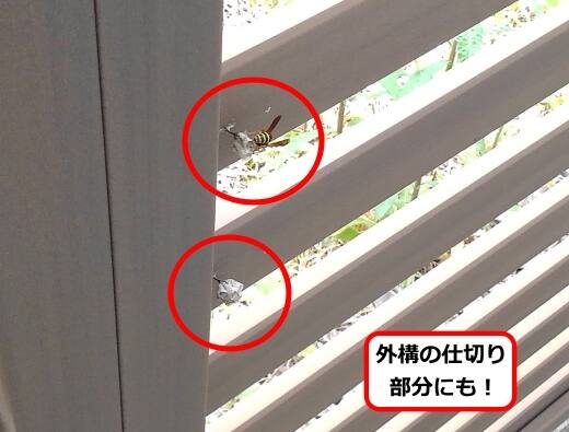 外構仕切り蜂の巣