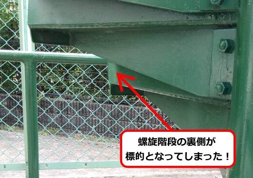 8月25日アシナガバチ