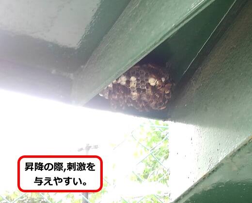 外階段蜂の巣
