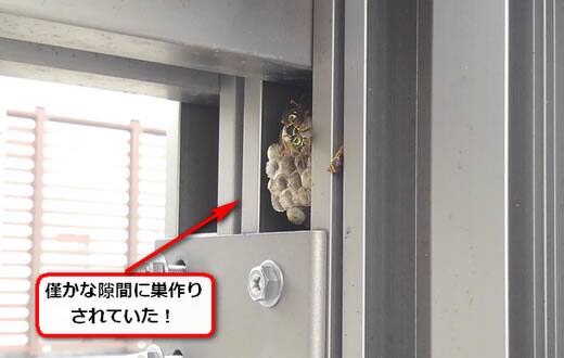 アシナガバチ巣引き戸