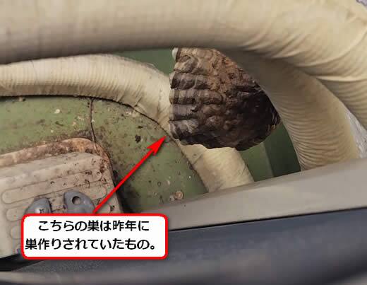 アシナガバチ駆除室外機