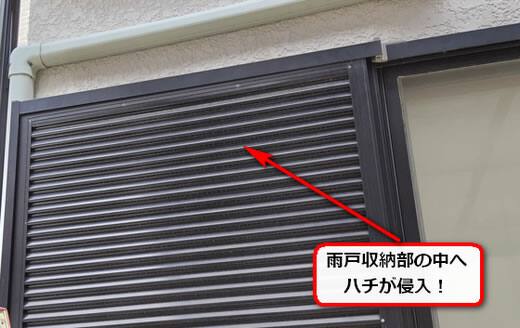 6月22日蜂の巣調査
