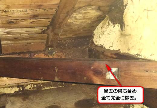 スズメバチ巣完全撤去